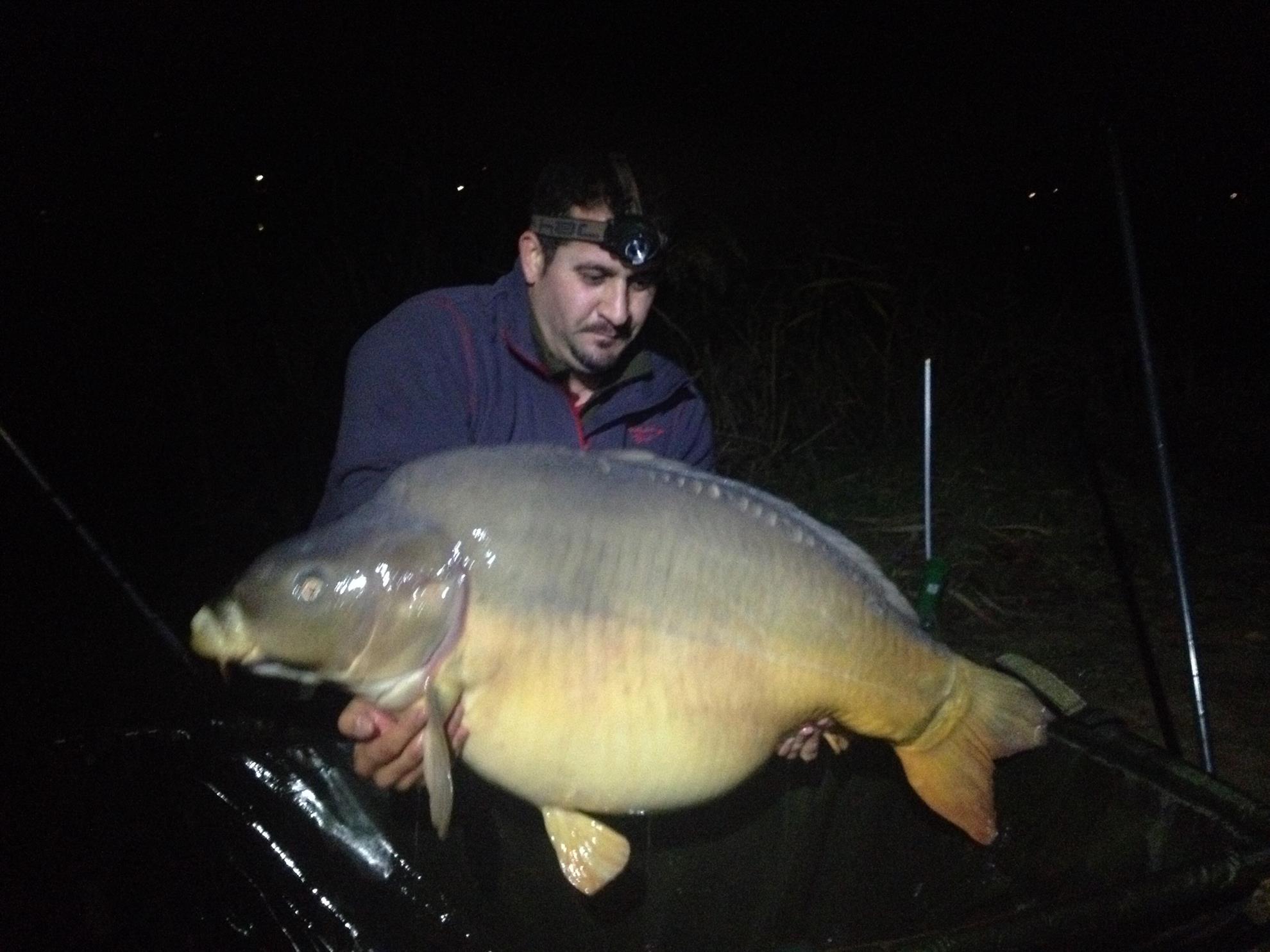 Harsany noiembrie 2013 - image11.jpg